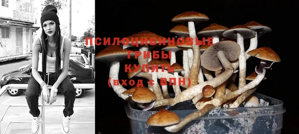 таблы Заводоуковск