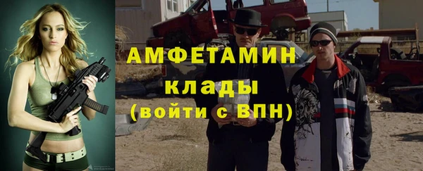 шишки Чегем